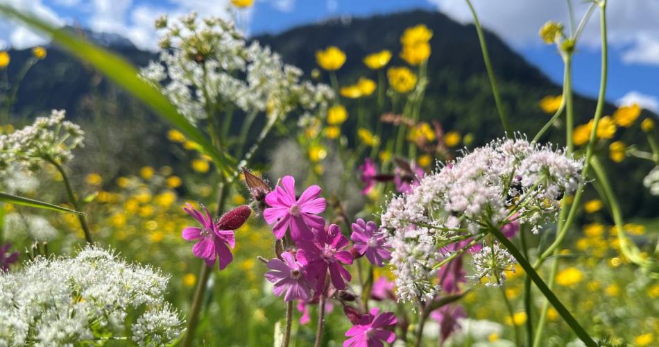 Frühling